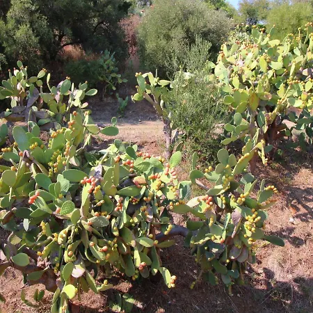 بيت للعطل Mansion In Capo Vaticano By The Sea ريكادي